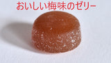 OUCHIde Yakuzen Medicinal Soup (concentrated type) 160g Free gift wrapping available