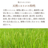 【食べる米ぬか】 ジョイントファーム 焙煎米ぬか粉 150g