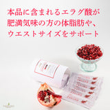 【数量限定 5包プレゼント】nini 熟成発酵ザクロペースト 30袋  2個セット