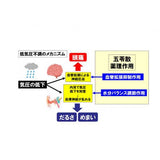【第２類医薬品】 テイラック　24錠　